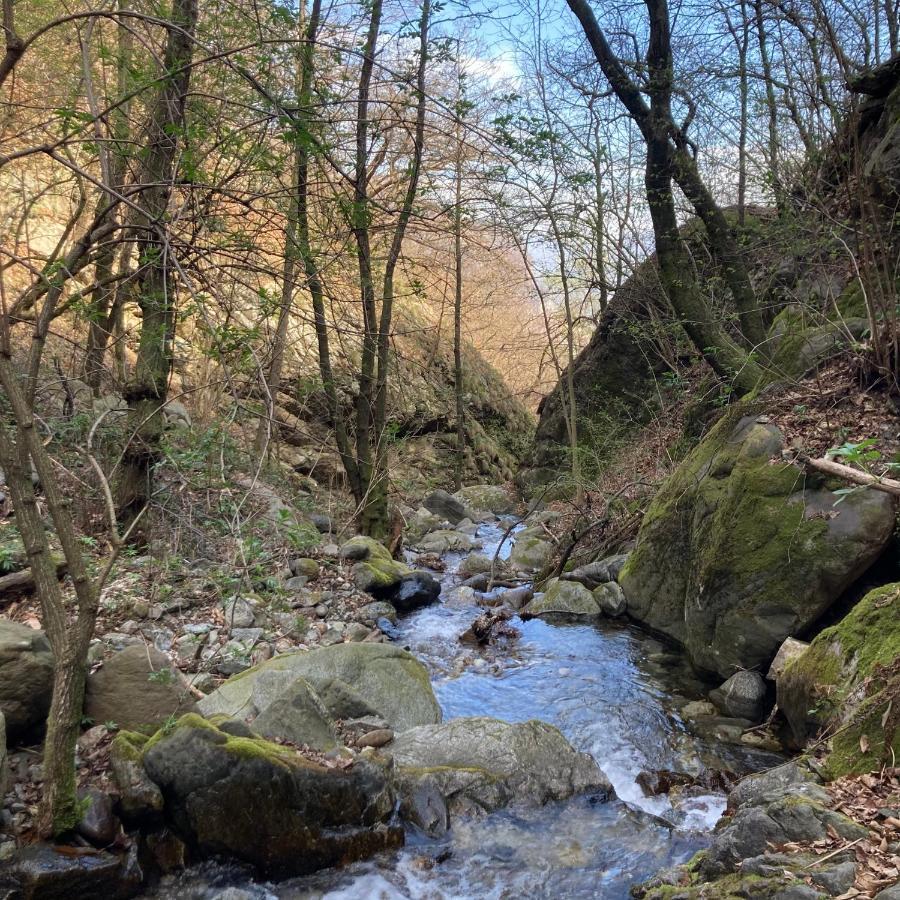 Il Riccio Di Ricciano Panzió Casale Corte Cerro Kültér fotó