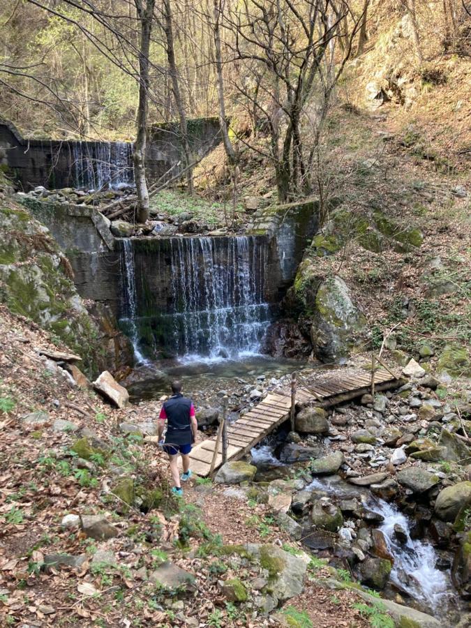 Il Riccio Di Ricciano Panzió Casale Corte Cerro Kültér fotó